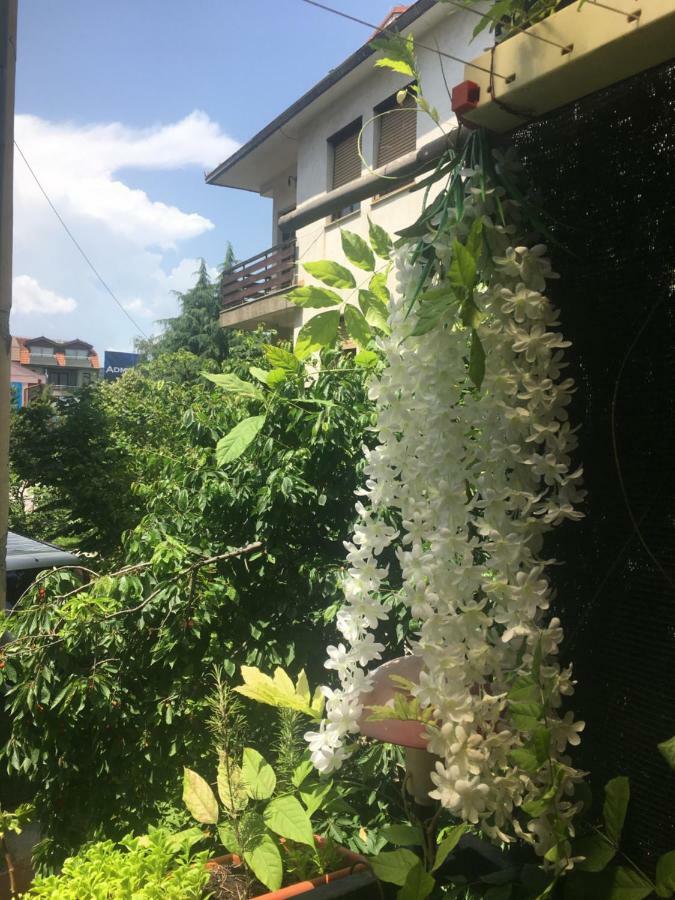 Ani Apartment Ohrid Exterior photo